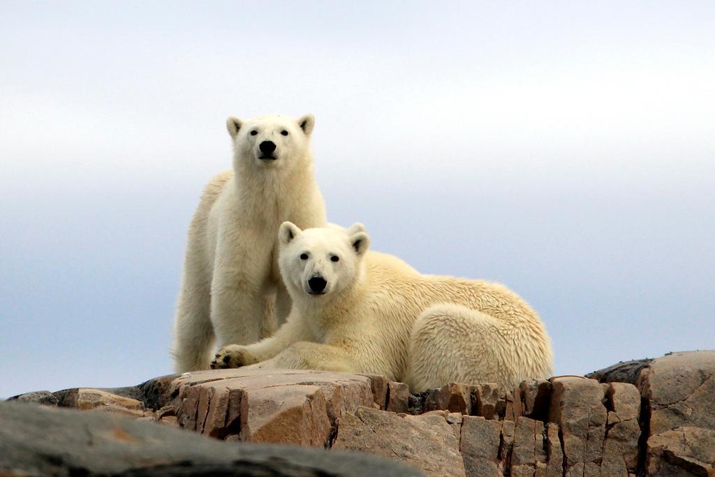Radisson Blu Polar Hotel, Spitsbergen Longyearbyen Exteriör bild